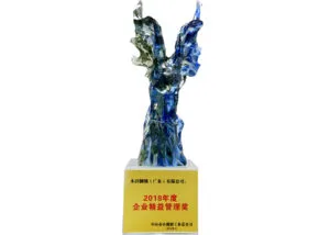 2018年度 企业精益管理奖